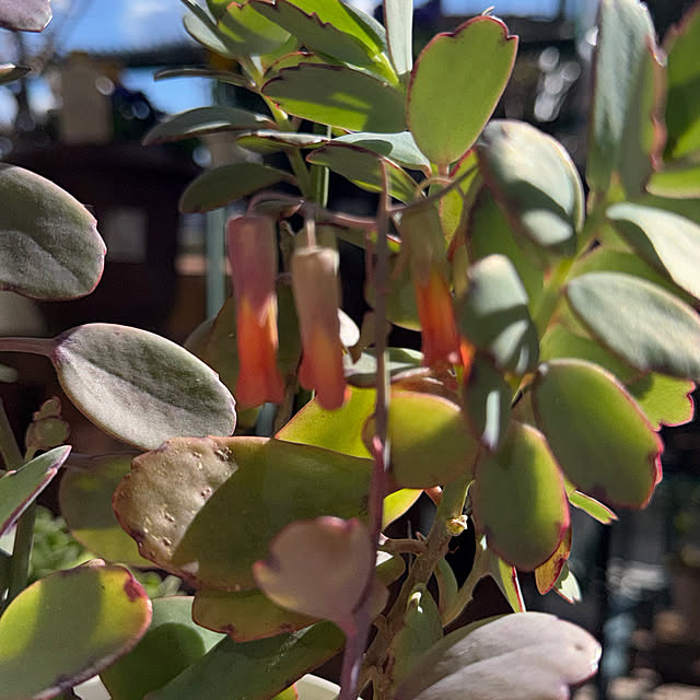 Aqettyさんの部屋