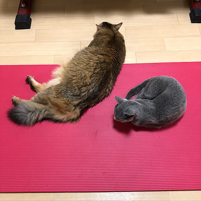 meさんの実例写真