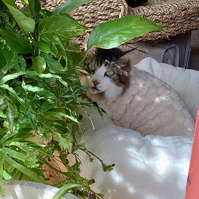 Kyouさんの部屋