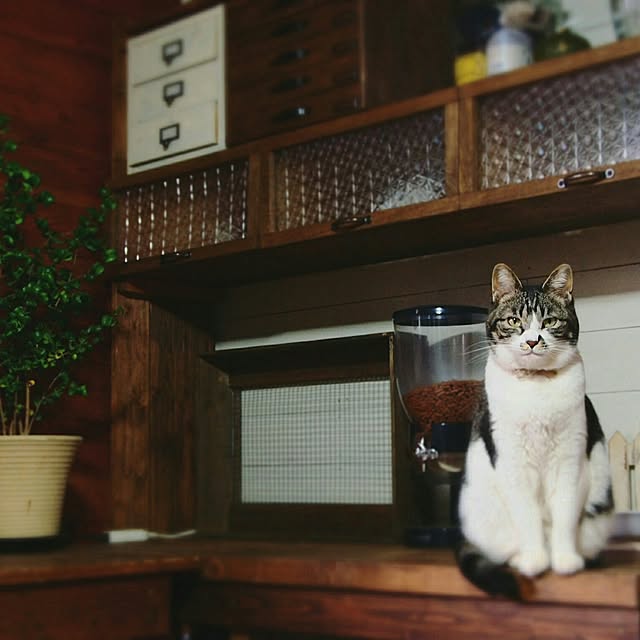 yukiさんの実例写真
