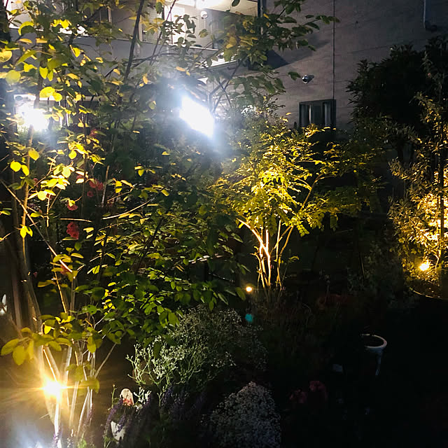 yenghuawang0112さんの実例写真