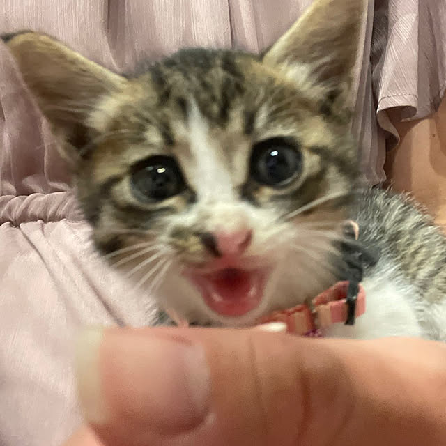 kenさんの実例写真