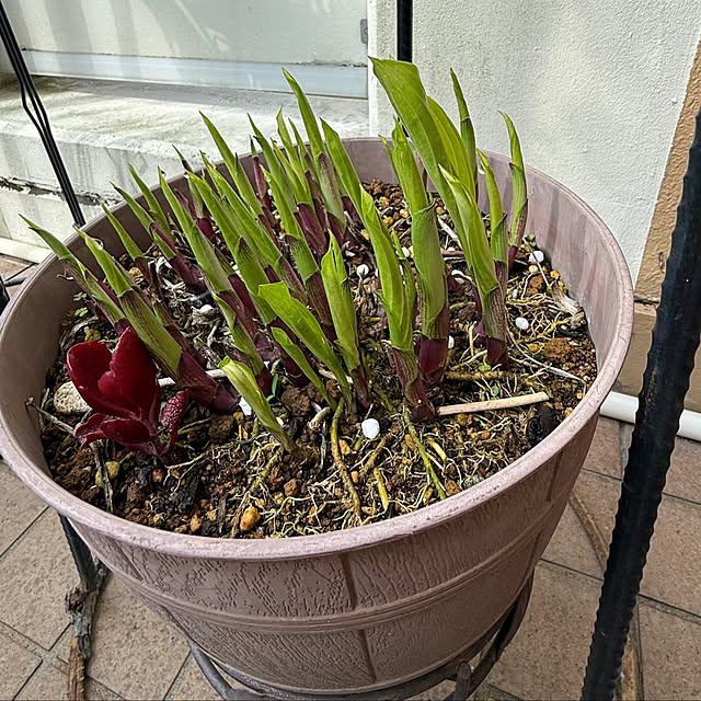 Aqettyさんの部屋