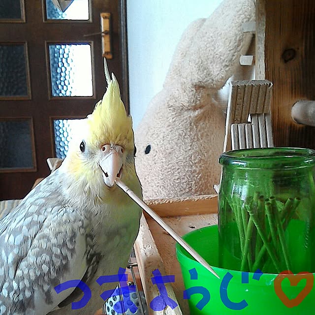hiroさんの実例写真