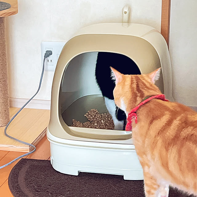 moolさんの部屋