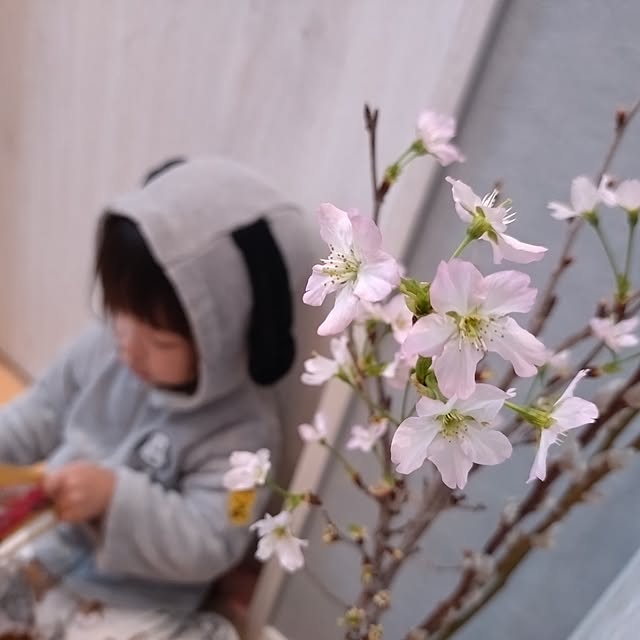 ri-eさんの実例写真
