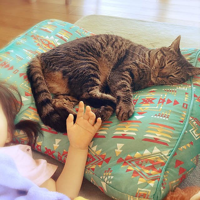 matoさんの実例写真