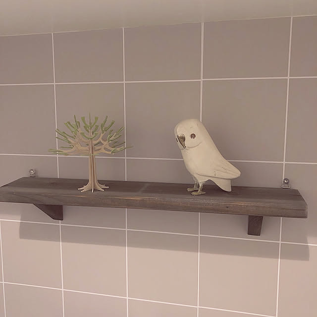 Noricoさんの実例写真