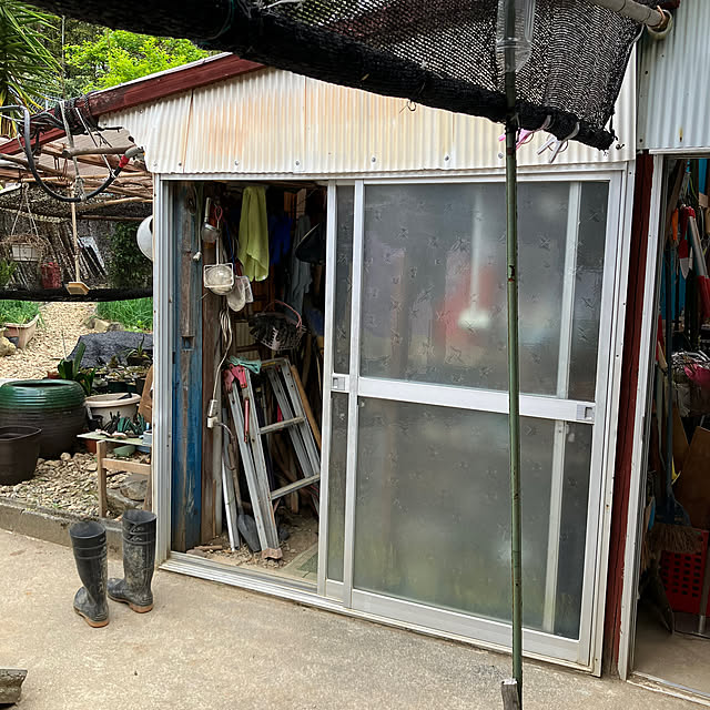 koshiregutyoさんの部屋