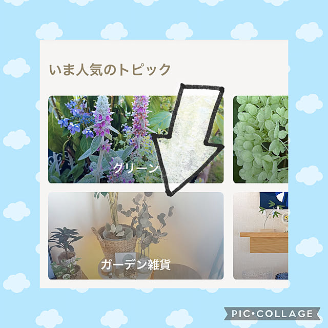 akiko-ovさんの実例写真