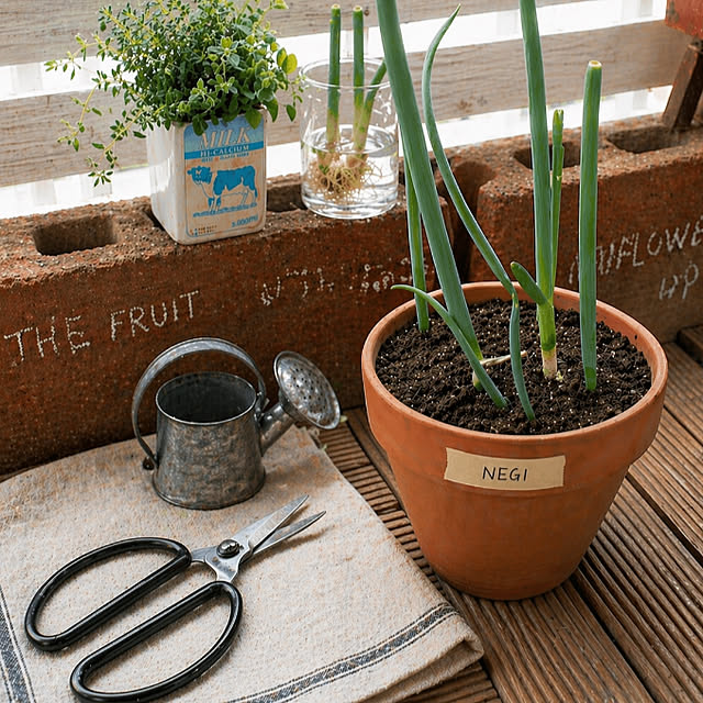 mamiさんの実例写真