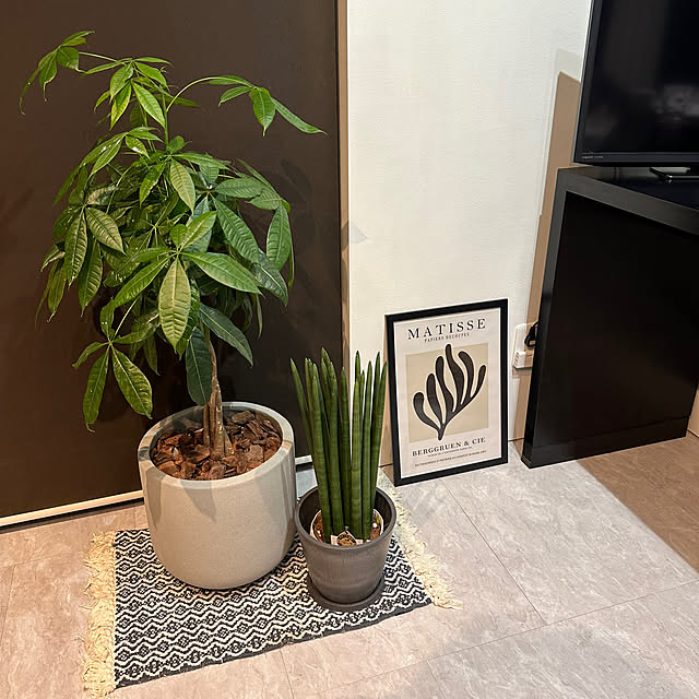 a.nさんの部屋