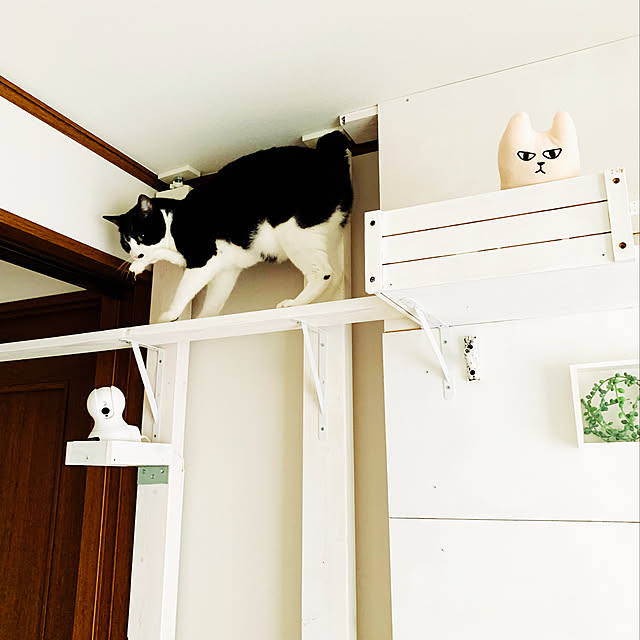 kanaさんの実例写真