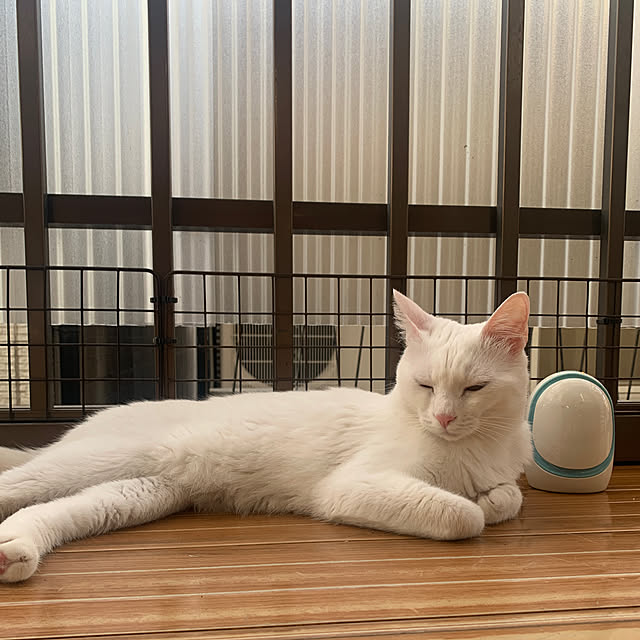 keiさんの実例写真