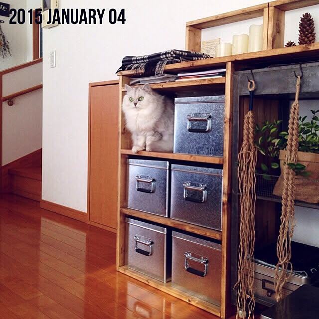 sakuさんの実例写真