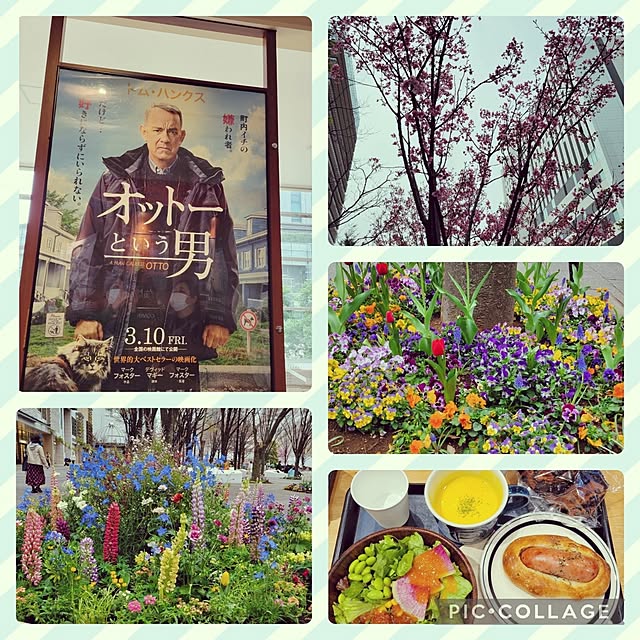 berryberryさんの実例写真
