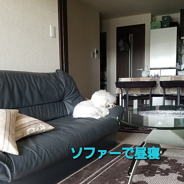 takoさんの実例写真