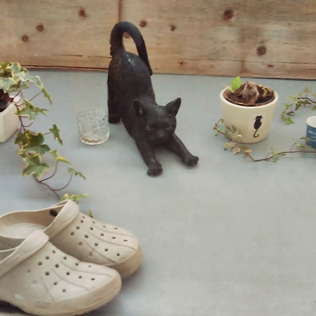 catloveさんの実例写真