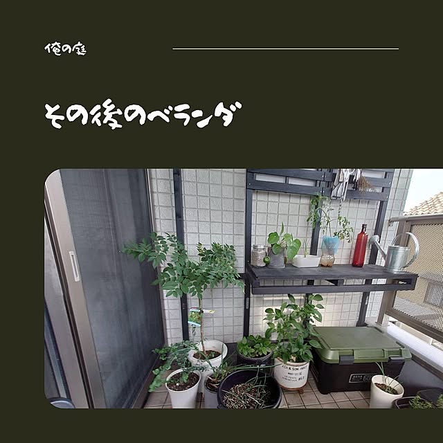 orenoniwa5nenさんの実例写真
