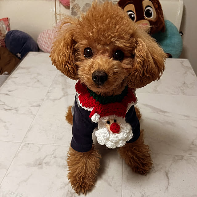 makiさんの実例写真