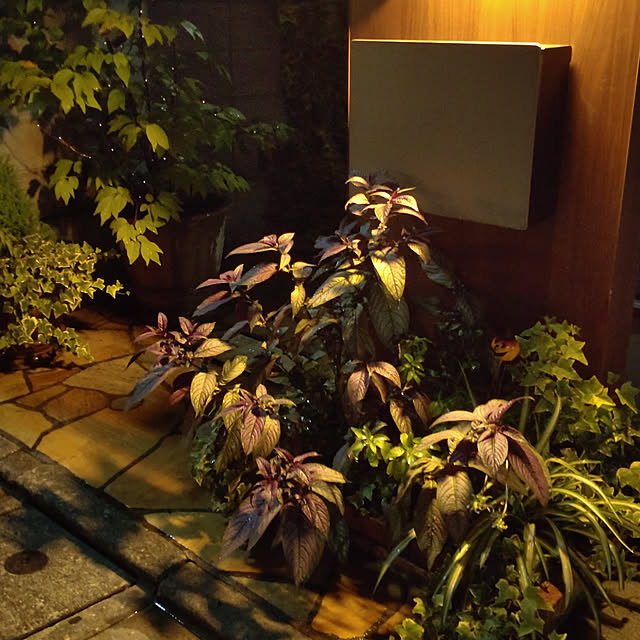 sachiさんの実例写真