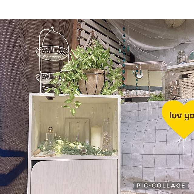 shoさんの実例写真
