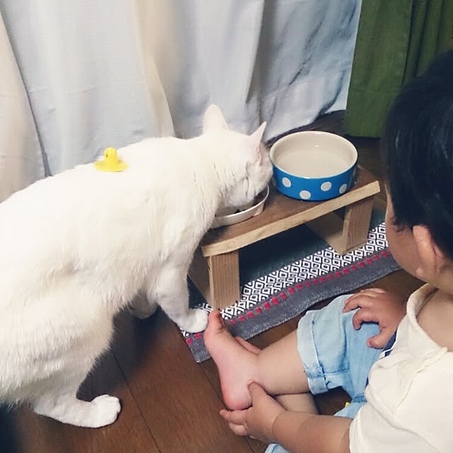 amifuuさんの実例写真