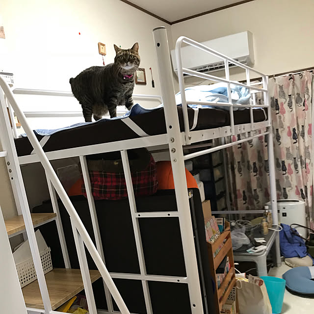 Shizuさんの実例写真