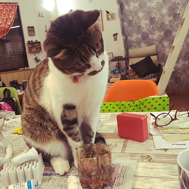 jijiさんの実例写真