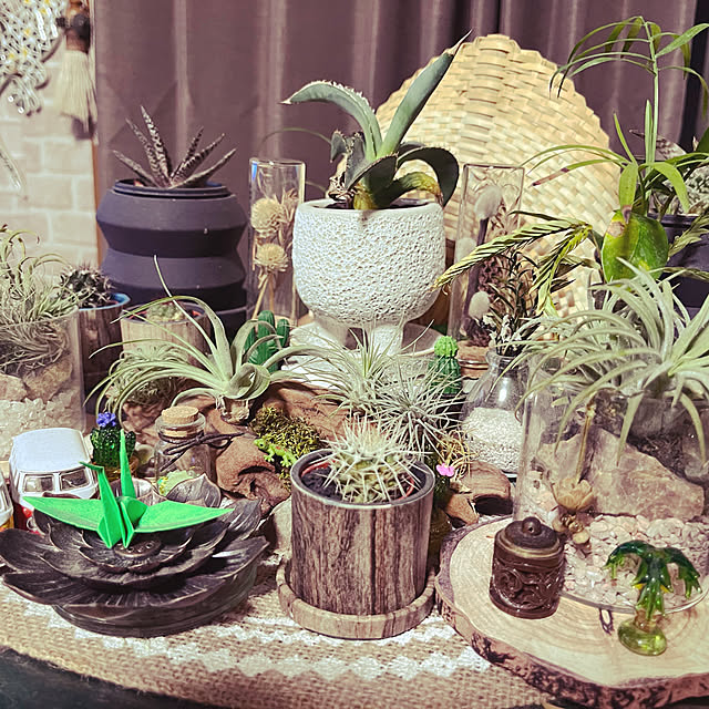 raiさんの実例写真