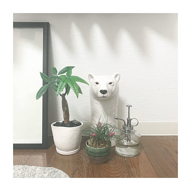 Misatoさんの実例写真