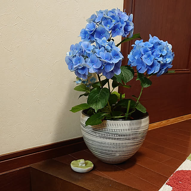 ruapyさんの実例写真