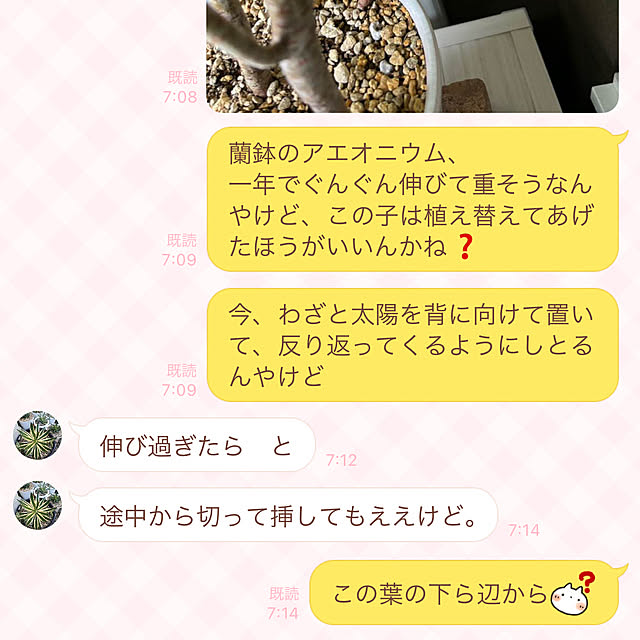 koshiregutyoさんの部屋