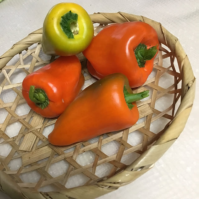 kunekoさんの実例写真