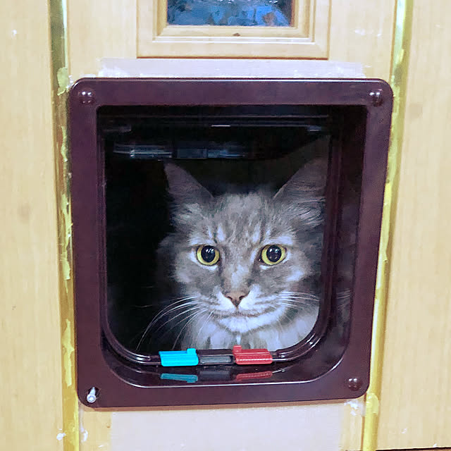 naworinさんの実例写真