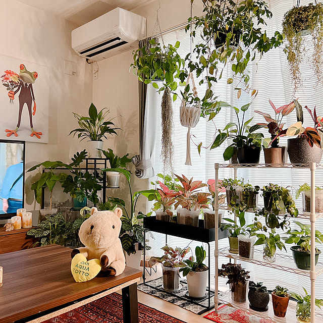 Nao56roomさんの実例写真