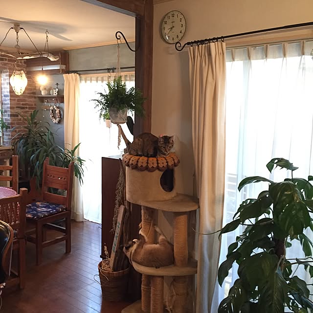 bowbowcoさんの実例写真