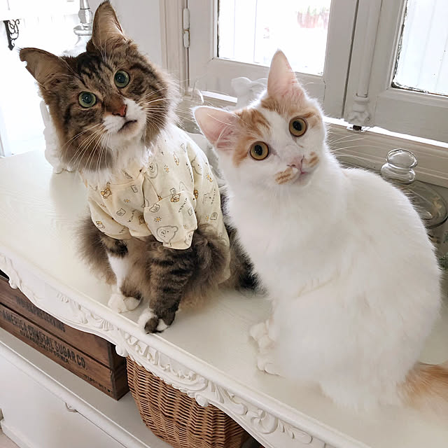 yuchiさんの実例写真
