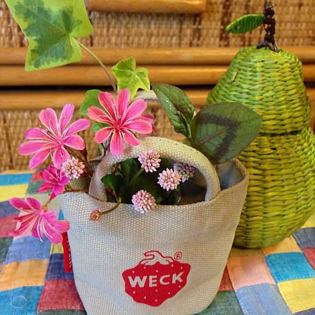 chiekoさんの実例写真