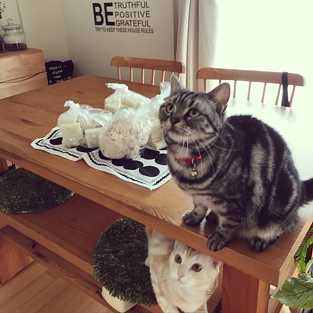 hiyupan88さんの実例写真