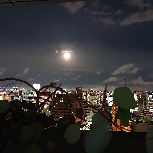 kakkaさんの実例写真