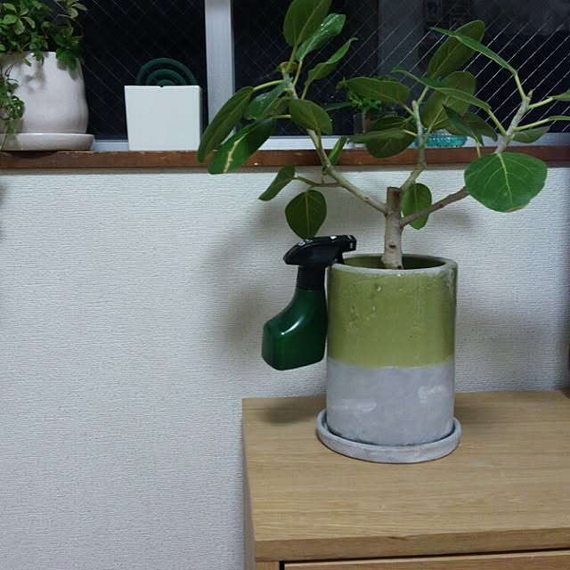 haruさんの実例写真