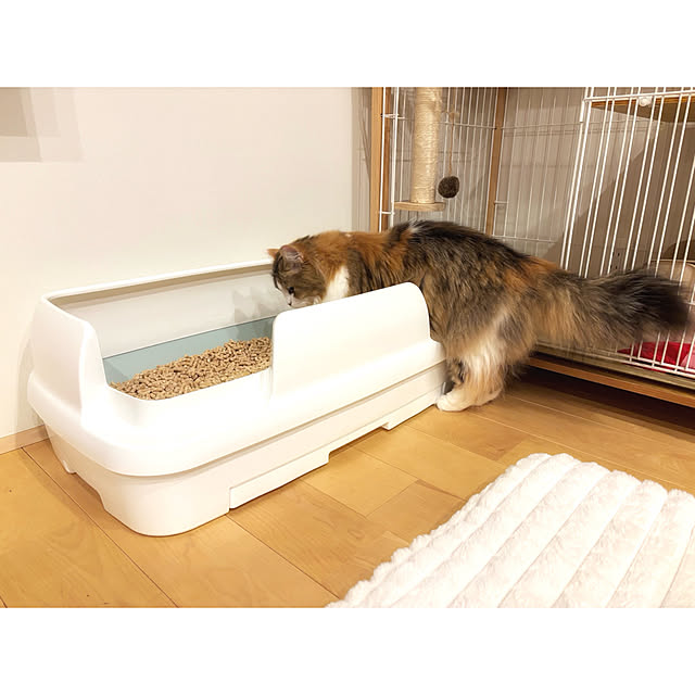 darakoさんの実例写真