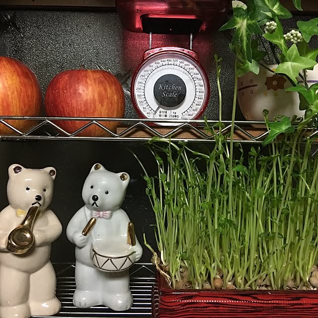 akekuroankoさんの実例写真