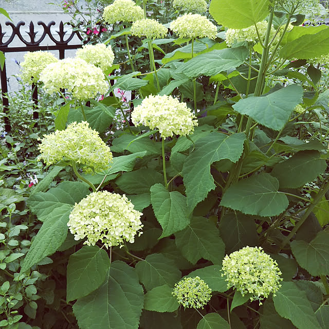 sa.yさんの実例写真