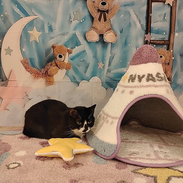 Marikoさんの実例写真