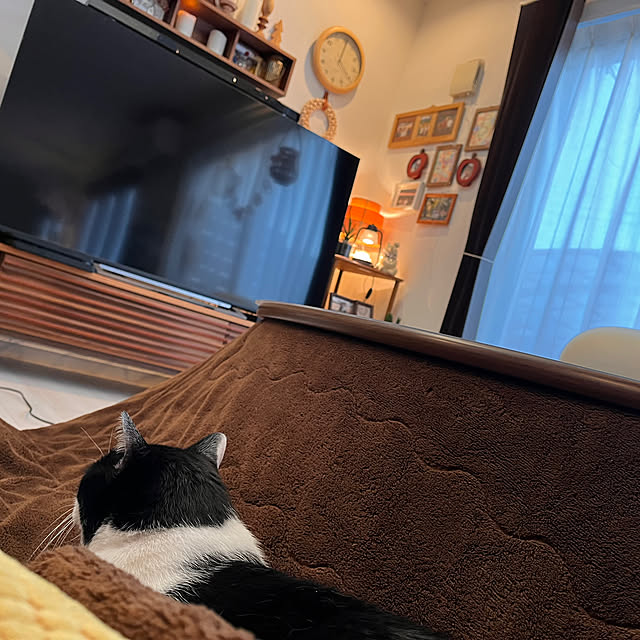 kojimasaさんの実例写真