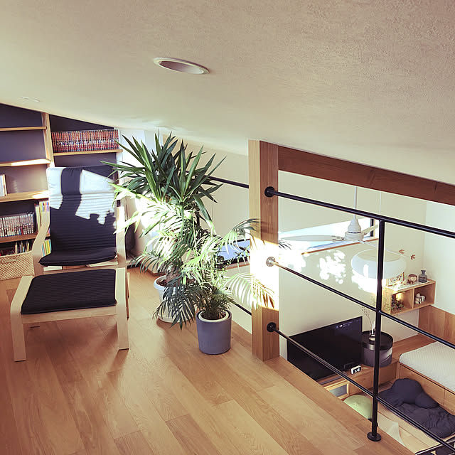 造作本棚/IKEAの椅子/観葉植物のある暮らし/日の光/平屋...などのインテリア実例 - 2022-05-03 06:59:22