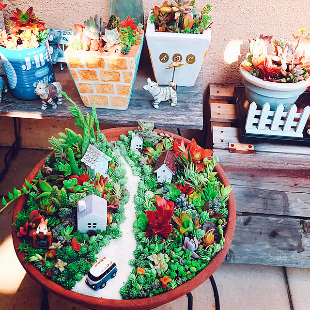 portulacaさんの実例写真