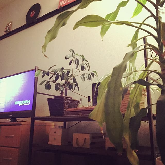 maibooさんの実例写真